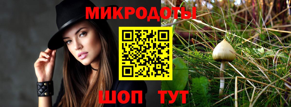 Кизляр  Галлюциногенные грибы Psilocybe  Вход с VPN 